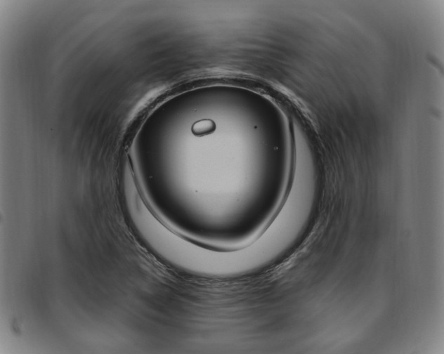 X0000097511314200803071815