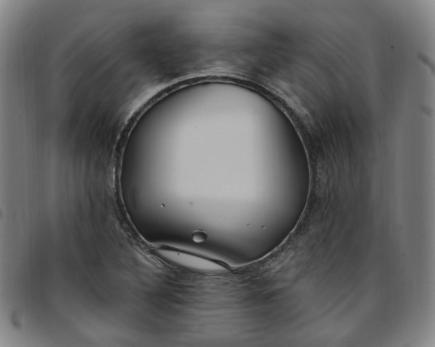 X0000097511316200803071815