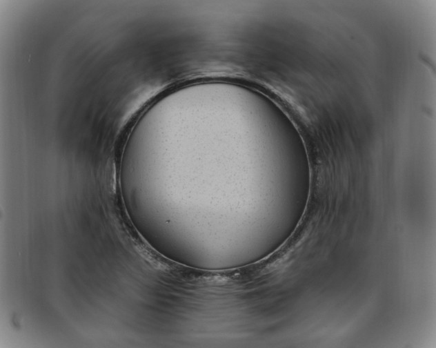 X0000097511317200803071815