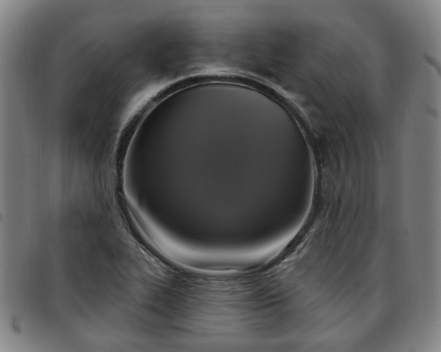 X0000097511319200803071816