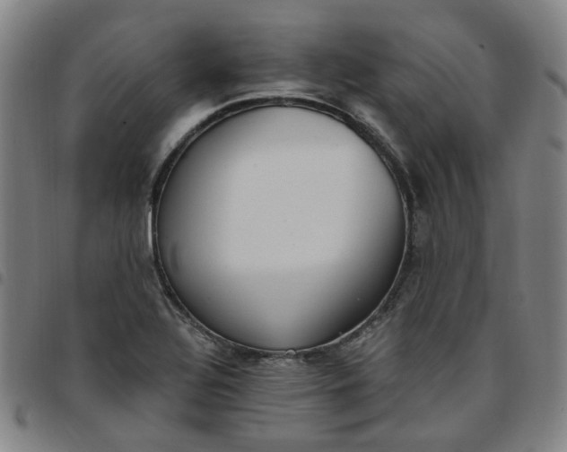 X0000097511320200803071816