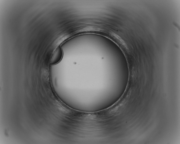 X0000097511321200803071816