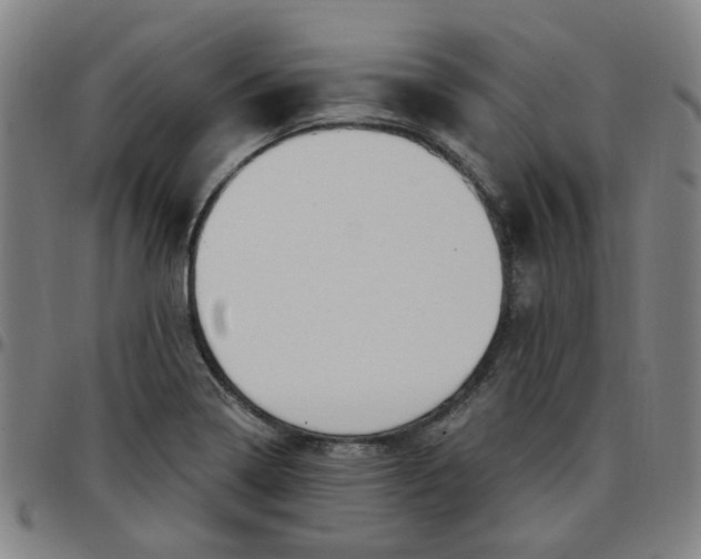 X0000097511322200803071816