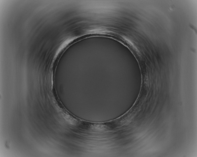 X0000097511323200803071816