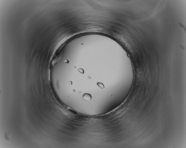 X0000097511324200803071816