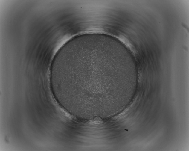 X0000097511325200803071816