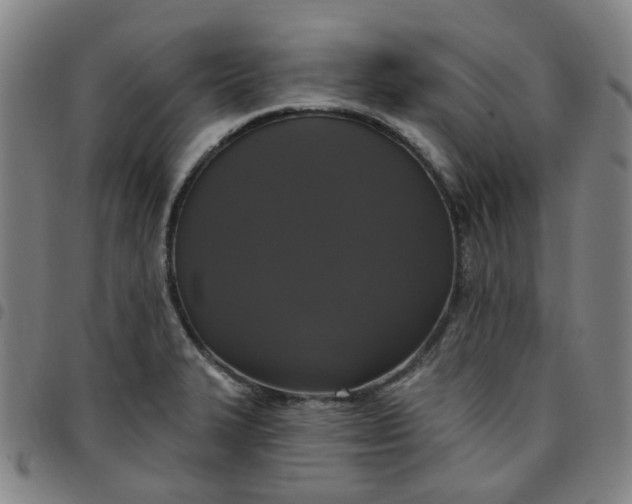 X0000097511327200803071816