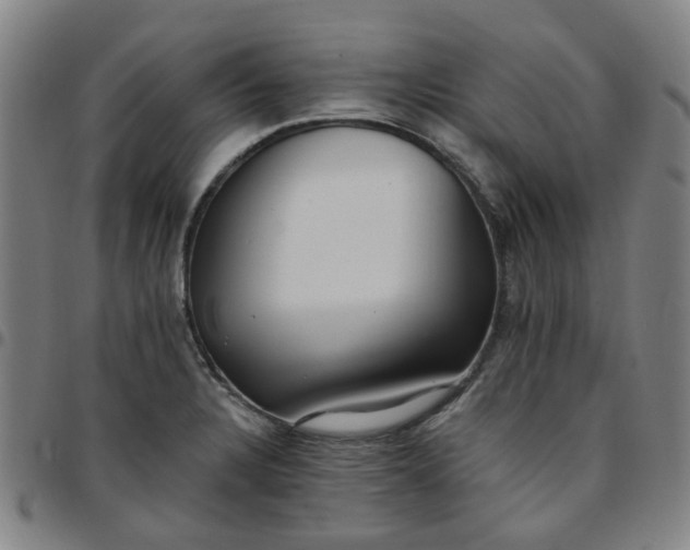 X0000097511328200803071816