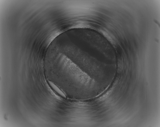 X0000097511329200803071816