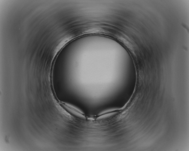 X0000097511330200803071816