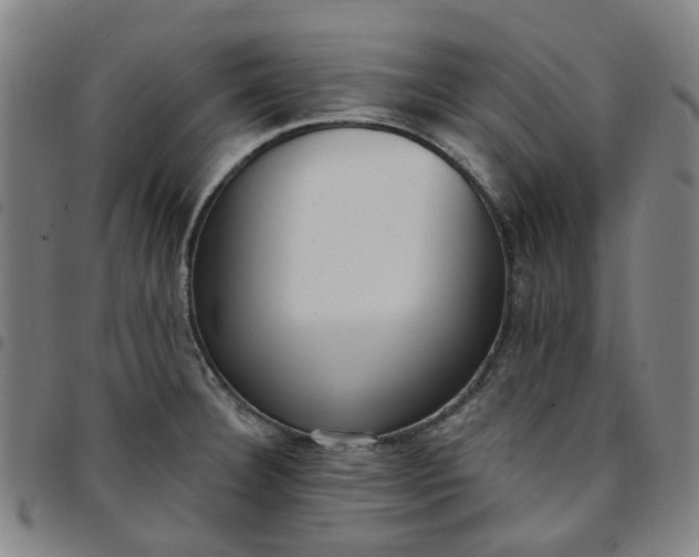 X0000097511332200803071816