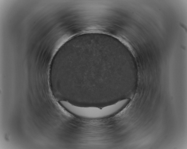 X0000097511333200803071816