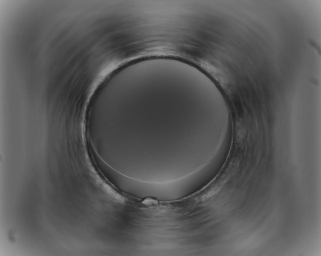 X0000097511334200803071816