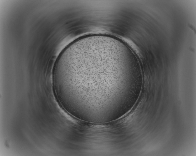 X0000097511335200803071816