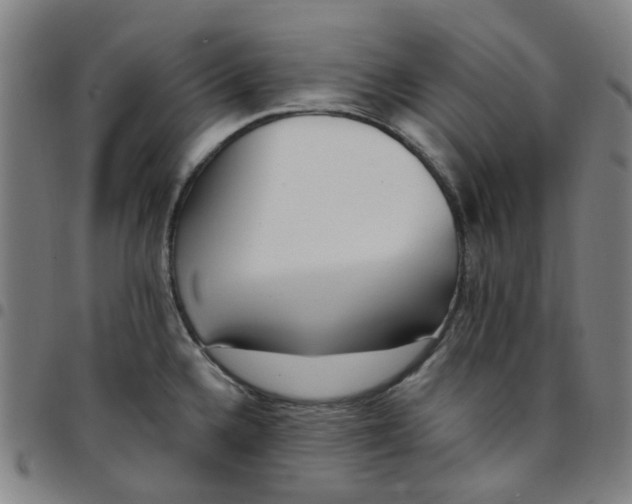 X0000097511336200803071816