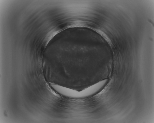 X0000097511337200803071816