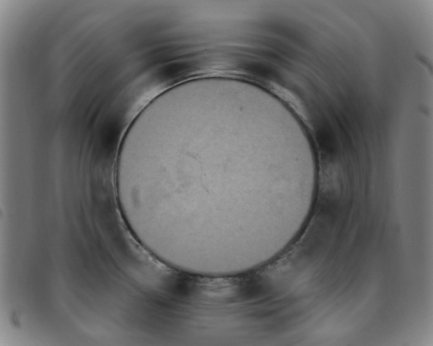 X0000097511338200803071816