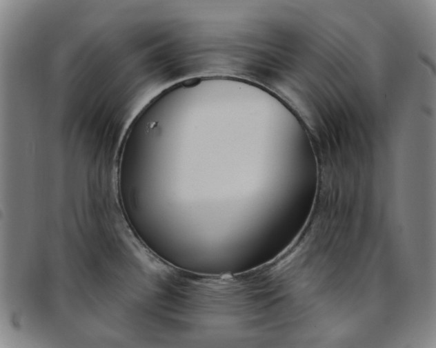 X0000097511340200803071816