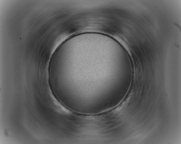 X0000097511341200803071816