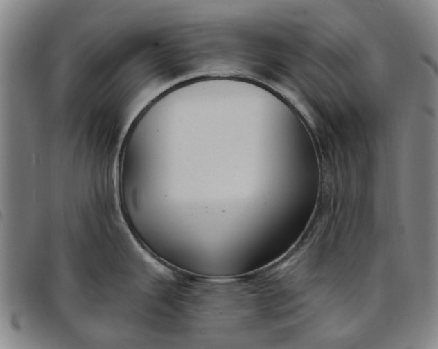 X0000097511343200803071816