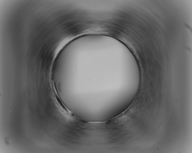 X0000097511344200803071816