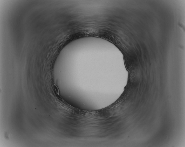 X0000097511345200803071815