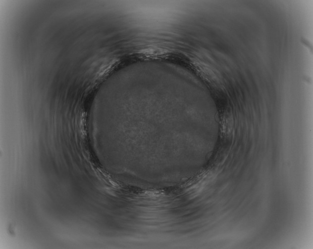 X0000097511346200803071815