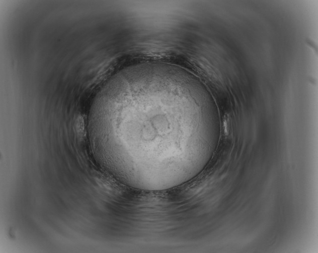 X0000097511347200803071815