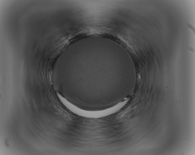 X0000097511348200803071815