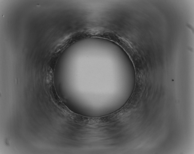 X0000097511349200803071815