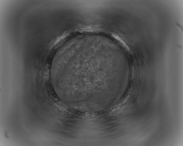 X0000097511350200803071815