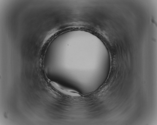 X0000097511352200803071815