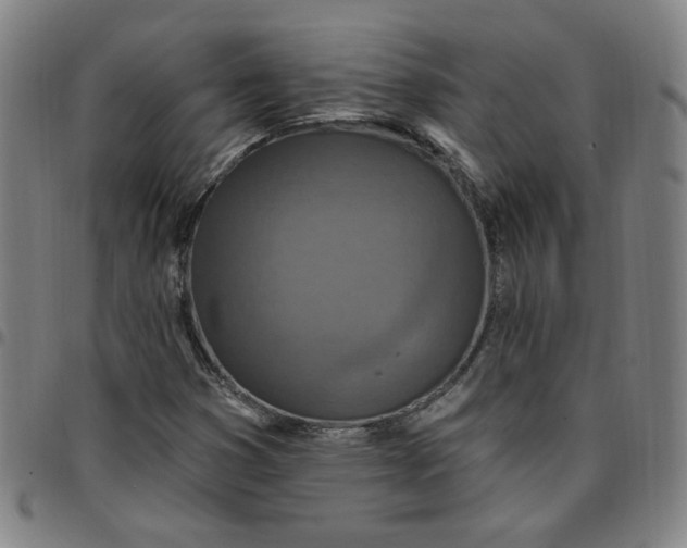 X0000097511353200803071815