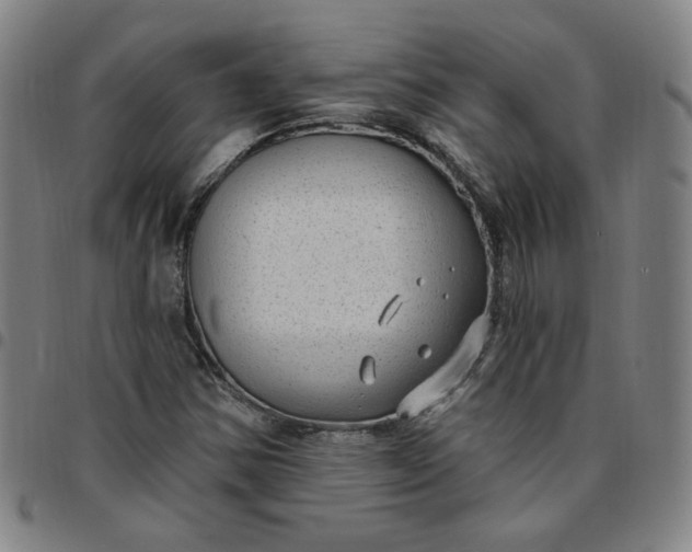 X0000097511354200803071815