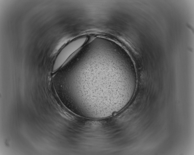 X0000097511355200803071815