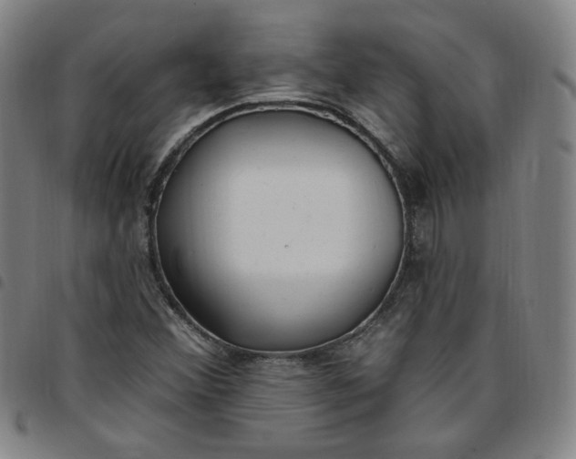 X0000097511356200803071815