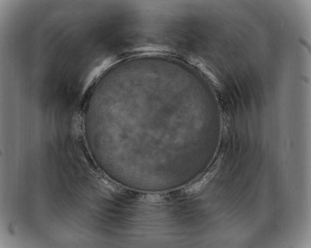 X0000097511357200803071815