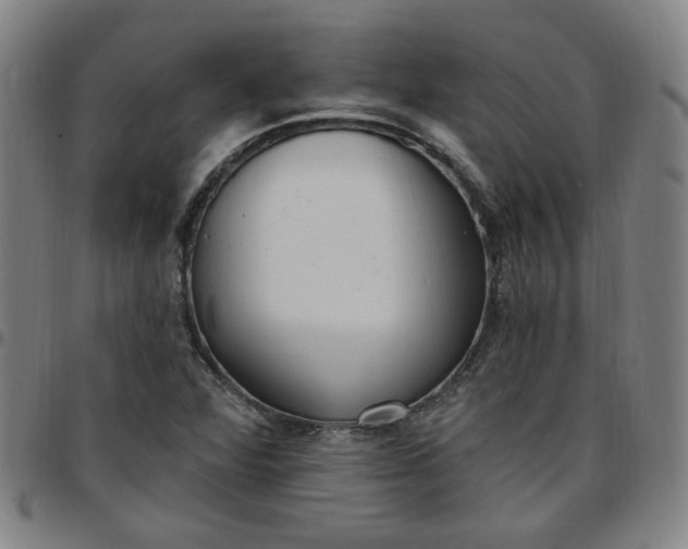 X0000097511360200803071815