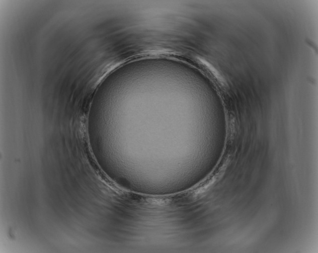 X0000097511361200803071815