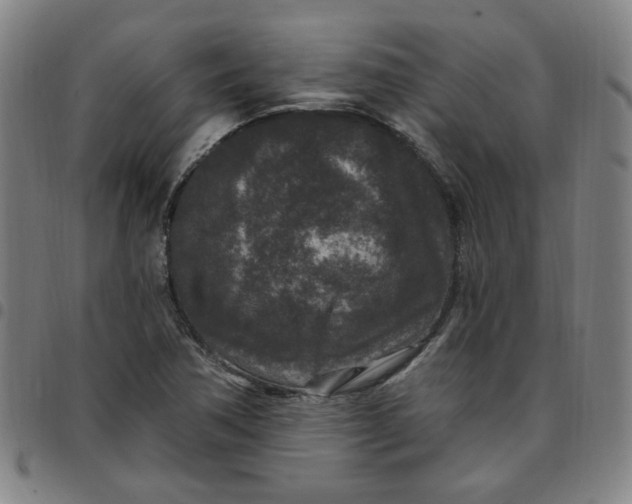 X0000097511362200803071815