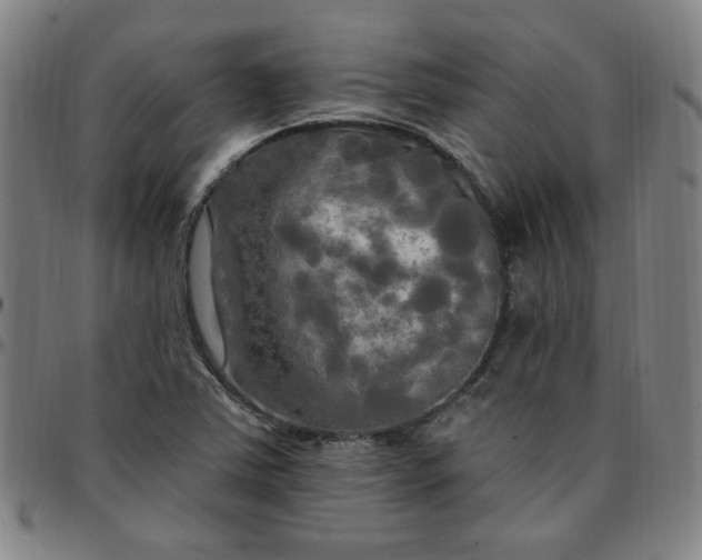 X0000097511363200803071815