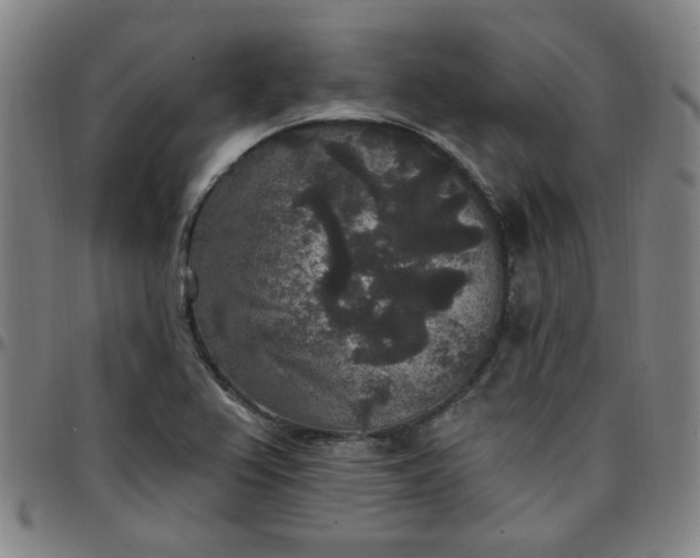 X0000097511367200803071815