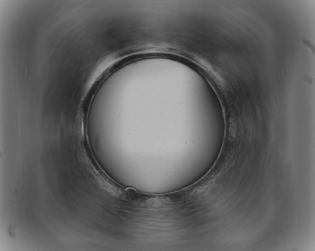 X0000097511368200803071815