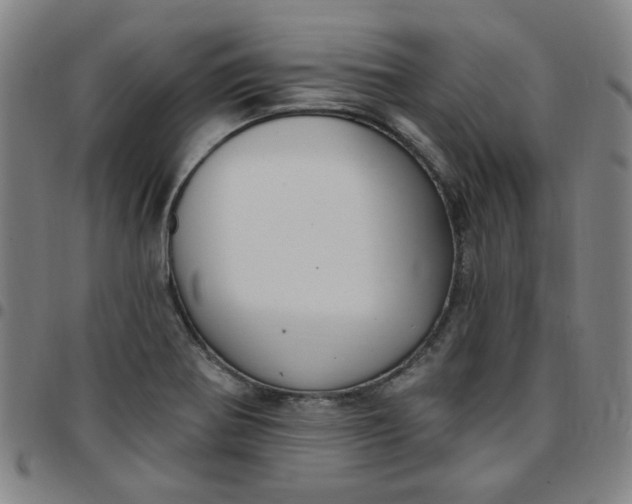 X0000097511370200803071815