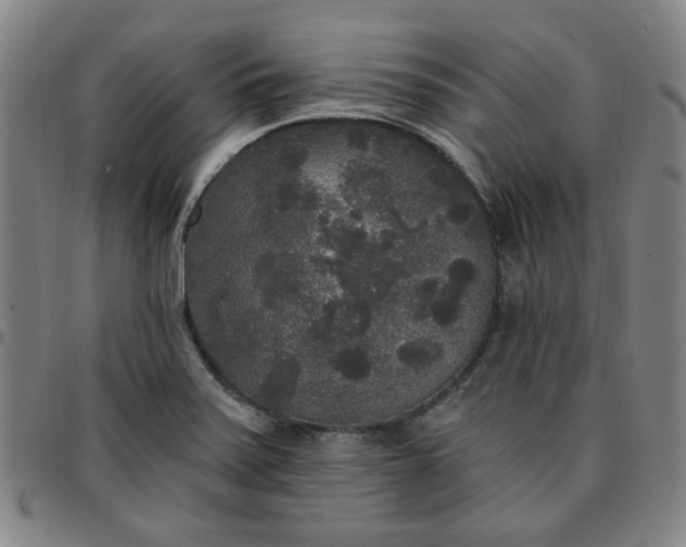 X0000097511371200803071815