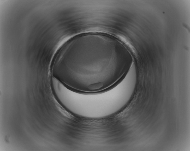 X0000097511372200803071815