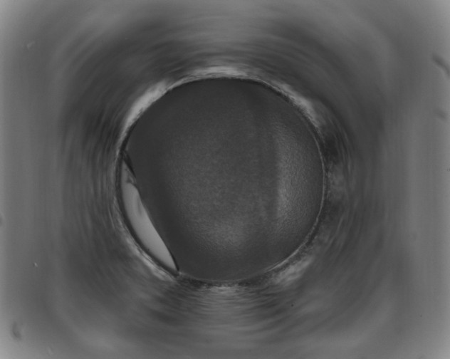 X0000097511373200803071815