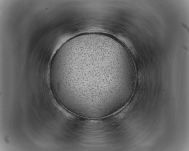 X0000097511374200803071815