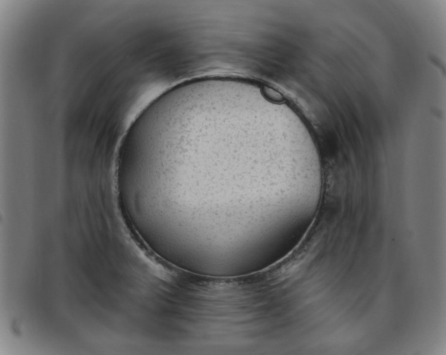 X0000097511375200803071815