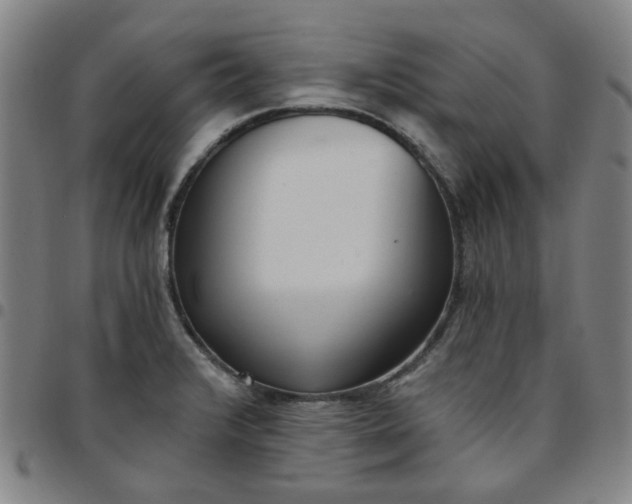 X0000097511376200803071815